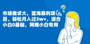 (6806期)市场需求大,蓝海暴利项目,轻松月入过3w+,适合小白0基础,网赚小白专用-优优云创网
