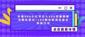 价值980小红书日入300突破限制无限私信日+100创业粉项目适合所有行业-优优云创网