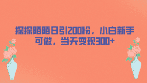 （6817期）探探陌陌日引200粉，小白新手可做，当天就能变现300+-优优云创网