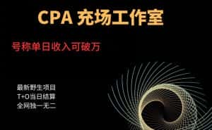 cpa充场工作室，号称单日收入10000+（揭秘）-优优云创网