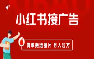 (6833期)小红书接广告月入过万,简单搬运图片,新手小白快速上手-优优云创网