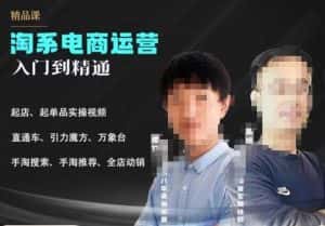 2023手淘搜索实操课+体系化课程,起店起单品实操视频课程-优优云创网