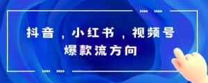抖音，小红书，视频号爆款流视频制作，简单制作掌握流量密码-优优云创网