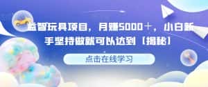 益智玩具项目，月赚5000＋，小白新手坚持做就可以达到【揭秘】-优优云创网