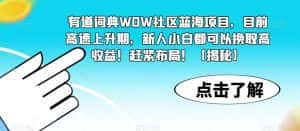 有道词典WOW社区蓝海项目，目前高速上升期，新人小白都可以换取高收益！赶紧布局！【揭秘】-优优云创网