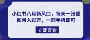 (6851期)八月新风口,小红书虚拟项目一天收入1000+,实战揭秘-优优云创网