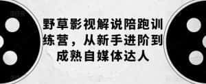 野草影视解说陪跑训练营,从新手进阶到成熟自媒体达人-优优云创网
