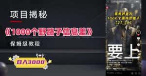 1000个野路子信息差保姆式教程-单日变现3000+的玩法解密-优优云创网