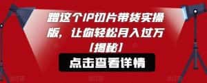 蹭这个IP切片带货实操版,让你轻松月入过万【揭秘】-优优云创网
