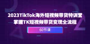 （6890期）2023-TikTok海外短视频带货特训营，掌握TK短视频带货变现全流程（60节课）-优优云创网