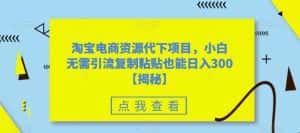 淘宝电商资源代下项目，小白无需引流复制粘贴也能日入300＋【揭秘】-优优云创网