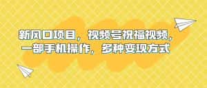 (6895期)新风口项目,视频号祝福视频,一部手机操作,多种变现方式-优优云创网