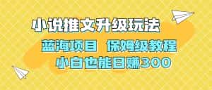 (6898期)利用AI作图撸小说推文 升级玩法 蓝海项目 保姆级教程 小白也能日赚300-优优云创网