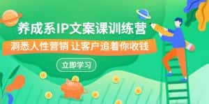 (6900期)养成系-IP文案课训练营,文案心法的天花板 洞悉人性营销 让客户追着你收钱-优优云创网