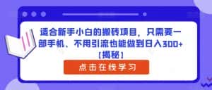 适合新手小白的搬砖项目，只需要一部手机、不用引流也能做到日入300+【揭秘】-优优云创网