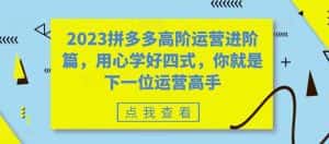 2023拼多多高阶运营进阶篇，用心学好四式，你就是下一位运营高手-优优云创网
