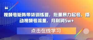 视频号矩阵带货训练营,批量暴力起号,撬动视频号流量,月利润5w+-优优云创网