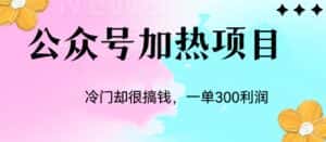 （6916期）冷门公众号加热项目，一单利润300+-优优云创网