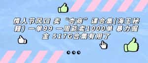 (6917期)情人节风口 卖“杏商”课合集(海王秘籍) 一单99 一周能卖1000单 暴…-优优云创网