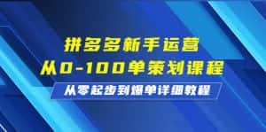(6920期)拼多多新手运营从0-100单策划课程,从零起步到爆单详细教程-优优云创网