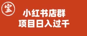宝哥小红书店群项目，日入过千（图文教程）【揭秘】-优优云创网