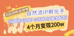 (6924期)某社群收费培训:自然流IP 孵化手-14天线上实操训练营 4个月变现200w-优优云创网