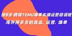 （6934期）拼多多-跨境TEMU爆单实操运营培训班，海外拼多多的选品、运营、爆单-优优云创网