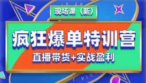 抖音短视频疯狂爆单特训营现场课(新)直播带货+实战案例-优优云创网