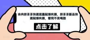 未央拼多多快速流量起爆实操，拼多多新品快速起爆实操，看完不走弯路-优优云创网
