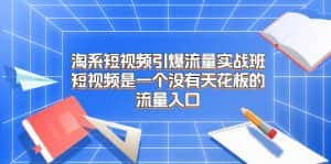 (6956期)淘系短视频引爆流量实战班,短视频是一个没有天花板的流量入口-优优云创网