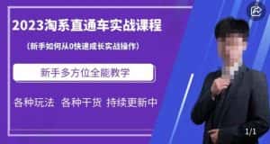 2023淘系直通车保姆式运营讲解，新手如何从0快速成长实战操作，新手多方位全能教学-优优云创网