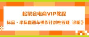 松鼠会电商VIP教程：松鼠《付费推广标品·半标直通车操作针对性答疑&诊断》-优优云创网