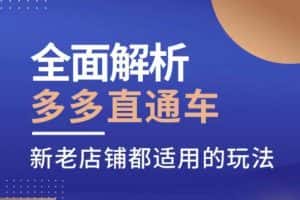 全面解析多多直通车,新老店铺都适用的玩法-优优云创网