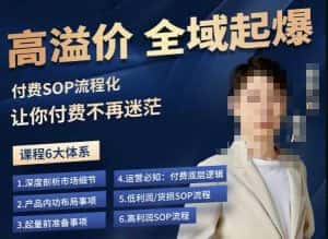 逸风-拼多多高溢价全域起爆,6大课程体系,付费玩法全套实操-优优云创网