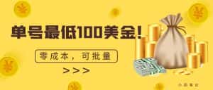 (6975期)单号最低100美金,零成本,小白无脑操作。可复制,可扩大。-优优云创网