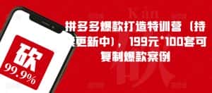 拼多多爆款打造特训营(持续更新中),199元*100套可复制爆款案例-优优云创网