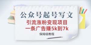 (6987期)公众号起号写文、引流涨粉变现项目,一条广告赚5k到7k,保姆级教程-优优云创网