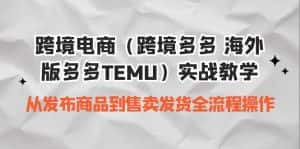 （6989期）跨境电商（跨境多多 海外版多多TEMU）实操教学 从发布商品到售卖发货全流程-优优云创网