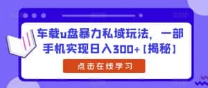 车载u盘暴力私域玩法，一部手机实现日入300+【揭秘】-优优云创网