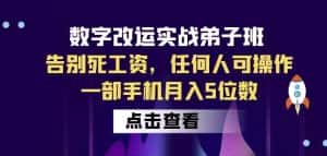 数字改运实战弟子班:告别死工资,任何人可操作,一部手机月入5位数-优优云创网