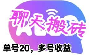 最新蓝海聊天平台手动搬砖，单号日入20，多号多撸，当天见效益-优优云创网