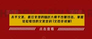 杀手文案,疯狂变现的108封大师手抄赚钱信,掌握轻松收钱的文案密码【文档非视频】-优优云创网