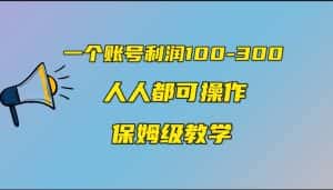 (7024期)一个账号100-300,有人靠他赚了30多万,中视频另类玩法,任何人都可以做到-优优云创网