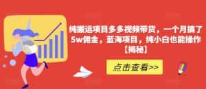 纯搬运项目多多视频带货,一个月搞了5w佣金,蓝海项目,纯小白也能操作【揭秘】-优优云创网