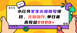 (7036期)小红书女生头像账号项目,无脑操作“”单日最高收益2000+-优优云创网
