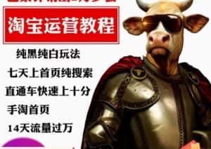 猫老师·淘系算法逆向解密，​纯黑纯白玩法，七天上首页纯搜索，手淘首页14天流量过万-优优云创网