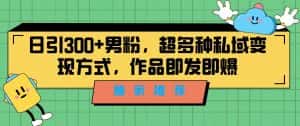 （7048期）独家推荐！日引300+男粉，超多种私域变现方式，作品即发即报-优优云创网
