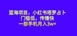 蓝海项目，小红书塔罗占卜，门槛低，传播快，一部手机月入3w+【揭秘】-优优云创网