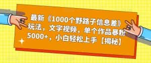 最新《1000个野路子信息差》玩法,文字视频,单个作品暴粉5000+,小白轻松上手【揭秘】-优优云创网