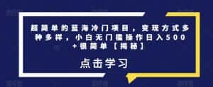 超简单的蓝海冷门项目，变现方式多种多样，小白无门槛操作日入500+很简单【揭秘】-优优云创网